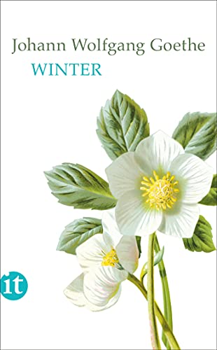 Winter (Paperback)