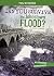 Can You Survive the Johnstown Flood? (You Choose: Disasters in History)