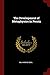 The Development of Metaphysics in Persia