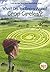 What Do We Know About Crop Circles? by Ben Hubbard