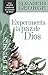Filipenses: Experimenta la paz de Dios (Spanish Edition)