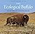 The Ecological Buffalo by Wes Olson