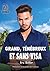 Grand, ténébreux et sans visa (Dreamspun Desires (Français)) (French Edition)