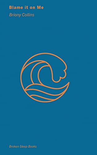 Blame It On Me (Paperback)