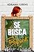 Se busca boy scout (Se busca / Hermanas Ryan) (Spanish Edition)