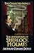 The Adventures of Sherlock Holmes Illustrated