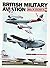 British Military Aviation: ...