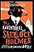 The Adventures of Sherlock Holmes Illustrated