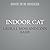 Indoor Cat: How to Enrich T...