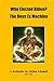 Who Elected Biden? The Deus Ex Machina/ A Tribute To Mike Lindell