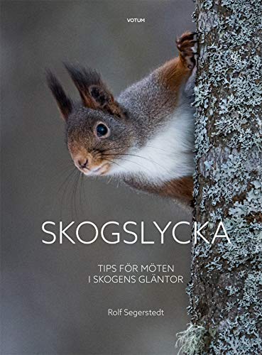 Skogslycka : tips för möten i skogens gläntor (Hardcover)
