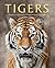 Tigers by Aditya Singh