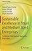 Sustainable Excellence in Small and Medium Sized Enterprises: Continuous Improvement Approaches that Matter (Industrial Ecology)