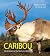 Caribou by Mark Raycroft