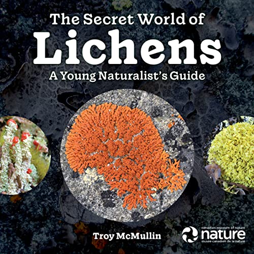 The Secret World of Lichens: A Young Naturalist's Guide (Paperback)