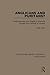 Anglicans and Puritans? (Routledge Library Editions: Puritanism)