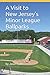 A Visit to New Jersey's Minor League Ballparks by Jason Love
