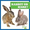 Spot the Difference: Rabbit or Hare? Spot the Difference: Rabbit or Hare?