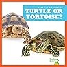Spot the Differences: Turtle or Tortoise?