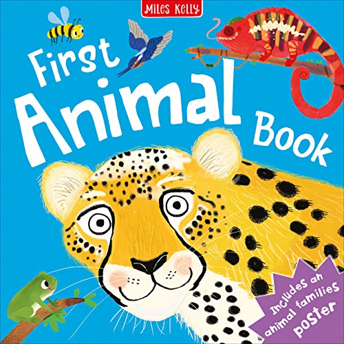 First Animal Book (Hardcover)