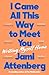 I Came All This Way to Meet You by Jami Attenberg