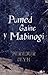 Pumed Gainc y Mabinogi