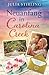 Neuanfang in Carolina Creek (The Merry Men Weddingplaner #3)