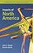 Insects of North America (Princeton Field Guides)