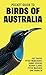 Pocket Guide to Birds of Australia by Jeff Davies