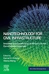 Nanotechnology for Civil Infrastructure: Innovation and Eco-efficiency of Nanostructured Cement-Based Materials (Micro and Nano Technologies)