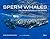 Sperm Whales by Gaelin Rosenwaks