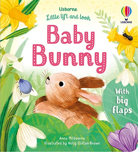 Little Lift and Look Baby Bunny (Hardcover)