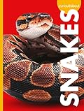 Curious about Snakes
