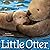 Little Otter