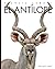 El antílope (Planeta animal)