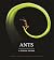 Ants: A Visual Guide