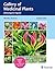 Gallery of Medicinal Plants by Monika  Sharma
