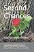 Second Chances: A Collectio...
