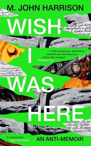 Wish I Was Here (Hardcover)