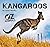 Kangaroos: Oz Animals