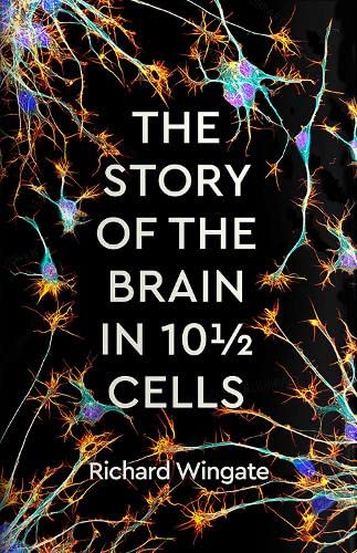 The Story of the Brain in 10½ Cells (Paperback)