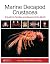 Marine Decapod Crustacea: A Guide to Families and Genera of the World