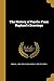 The History of Psyche From ...