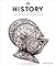 History: The Definitive Visual Guide (DK Definitive Visual Encyclopedias)