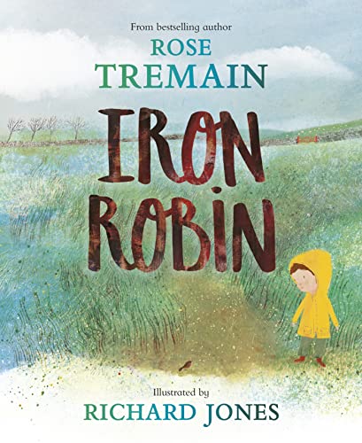 Iron Robin: A magical and soothing story for young readers (Hardcover)