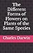 The Different Forms of Flowers on Plants of the Same Species