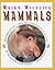 Mammals (Weird Wildlife)