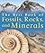 The Best Book Of Fossils, Rocks, And Minerals (Turtleback School & Library Binding Edition)