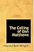 The Calling of Dan Matthews