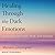 Healing Through the Dark Emotions Lib/E: The Wisdom of Grief, Fear, and Despair